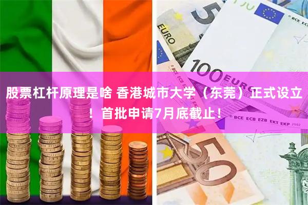 股票杠杆原理是啥 香港城市大学（东莞）正式设立！首批申请7月底截止！