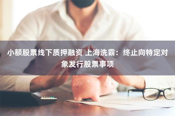 小额股票线下质押融资 上海洗霸：终止向特定对象发行股票事项