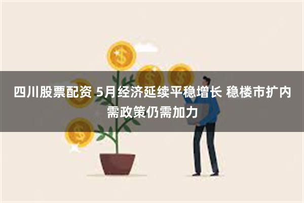 四川股票配资 5月经济延续平稳增长 稳楼市扩内需政策仍需加力