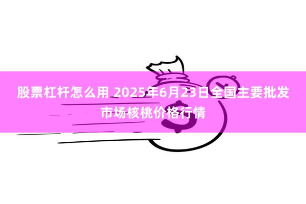 股票杠杆怎么用 2025年6月23日全国主要批发市场核桃价格行情