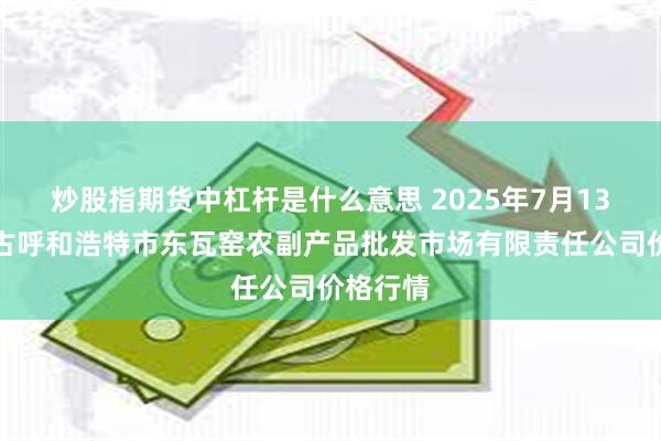 炒股指期货中杠杆是什么意思 2025年7月13日内蒙古呼和浩特市东瓦窑农副产品批发市场有限责任公司价格行情