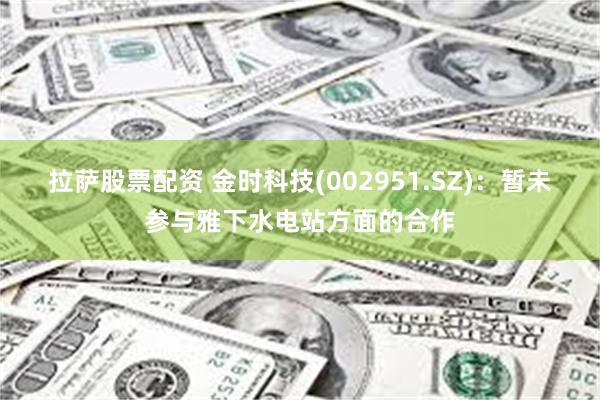 拉萨股票配资 金时科技(002951.SZ)：暂未参与雅下水电站方面的合作
