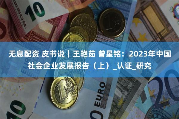 无息配资 皮书说｜王艳茹 曾星铭：2023年中国社会企业发展报告（上）_认证_研究