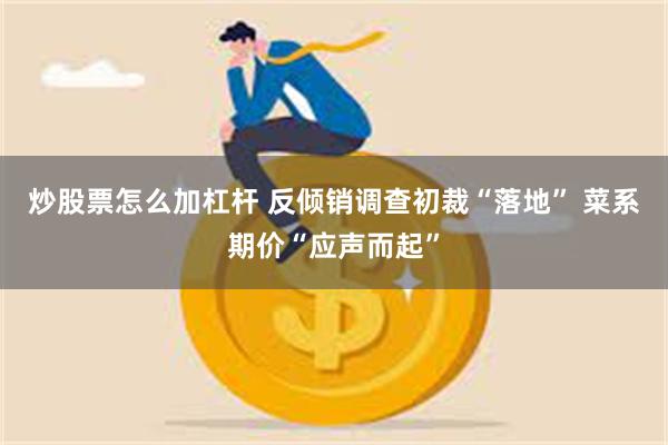炒股票怎么加杠杆 反倾销调查初裁“落地” 菜系期价“应声而起”