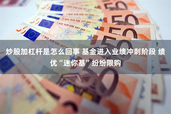 炒股加杠杆是怎么回事 基金进入业绩冲刺阶段 绩优“迷你基”纷纷限购